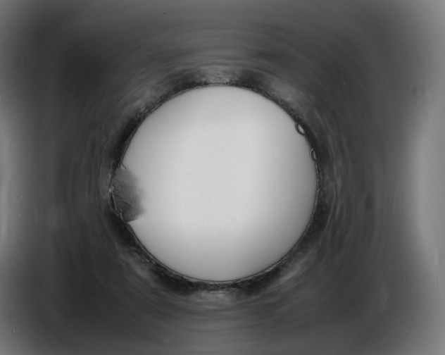 X0000086720307200705041333