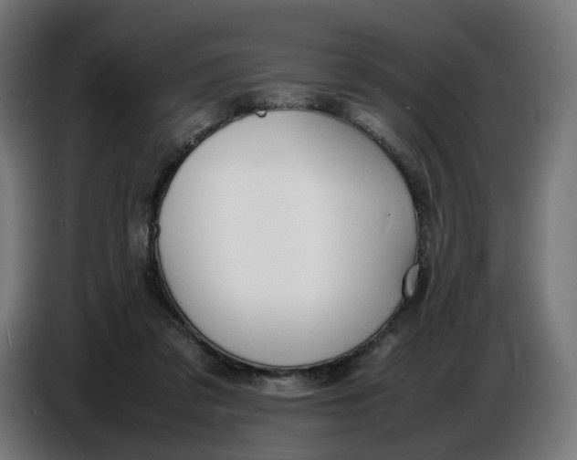 X0000086720309200705041333