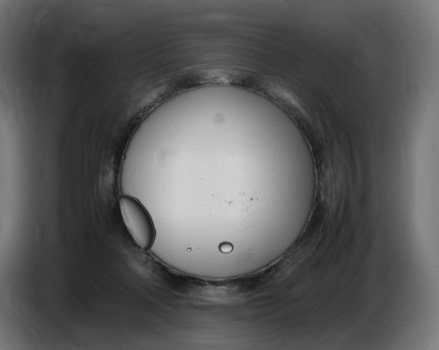 X0000086720314200705041333