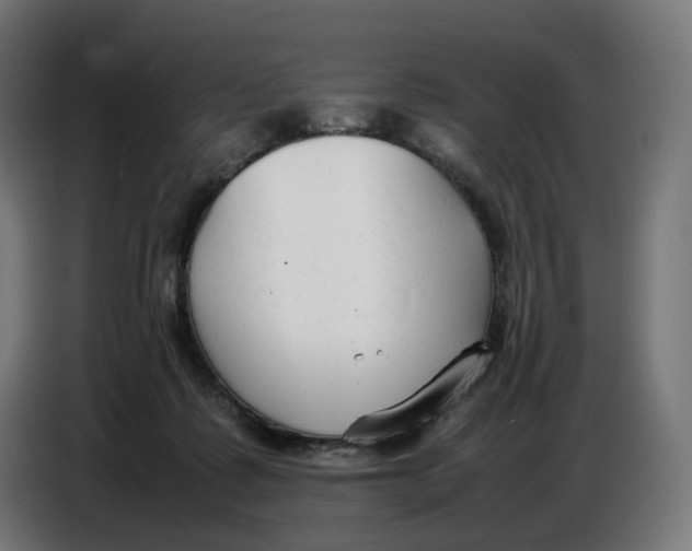 X0000086720315200705041333