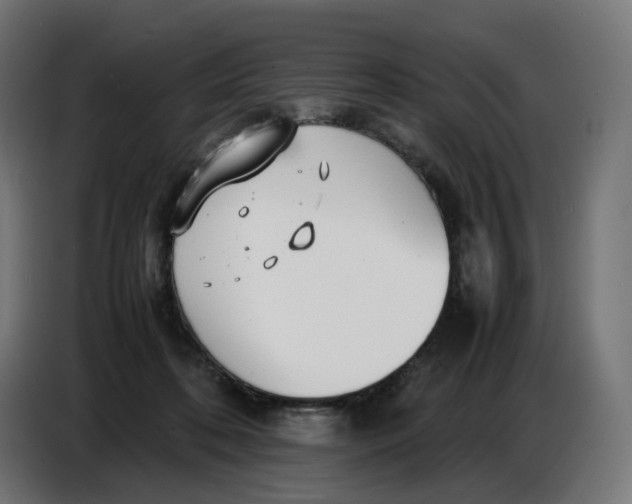 X0000086720316200705041333