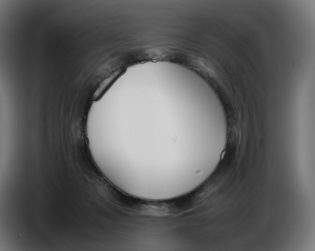 X0000086720317200705041333