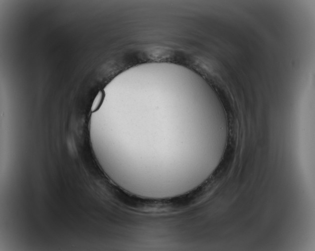 X0000086720319200705041333