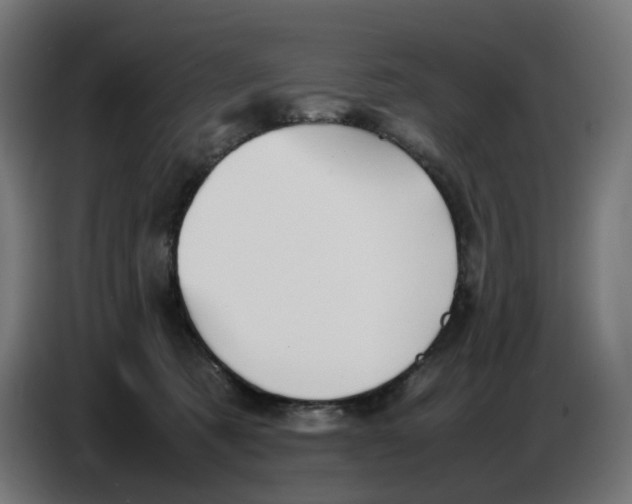 X0000086720321200705041333