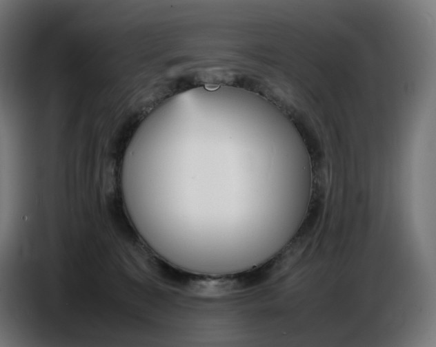 X0000086720323200705041333