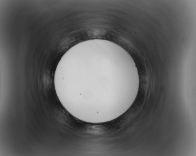 X0000086720324200705041333