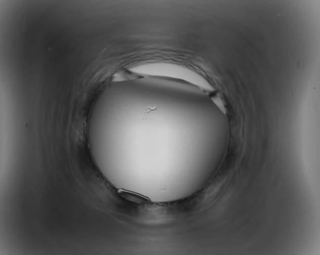 X0000086720325200705041333