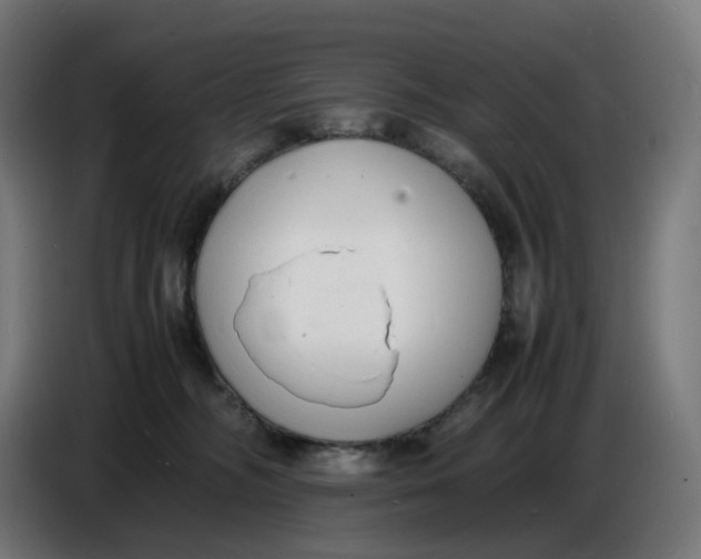 X0000086720326200705041333