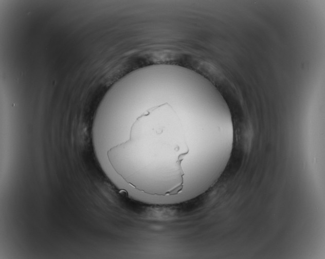 X0000086720327200705041333