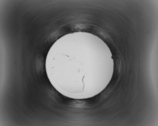 X0000086720328200705041333