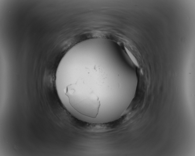 X0000086720329200705041333
