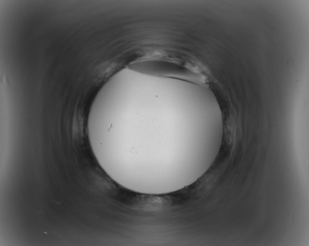 X0000086720330200705041332
