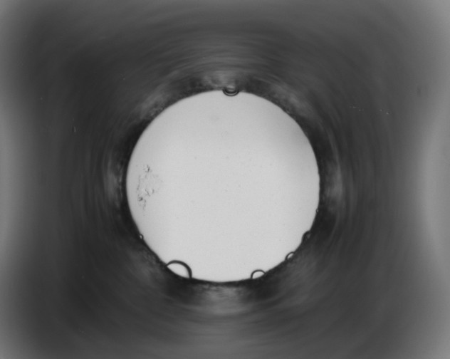 X0000086720332200705041332