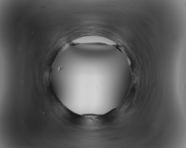 X0000086720333200705041332