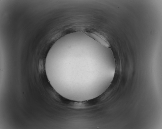 X0000086720335200705041332