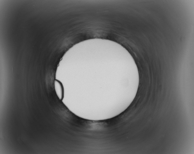 X0000086720336200705041332
