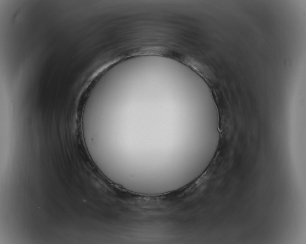 X0000086720338200705041332
