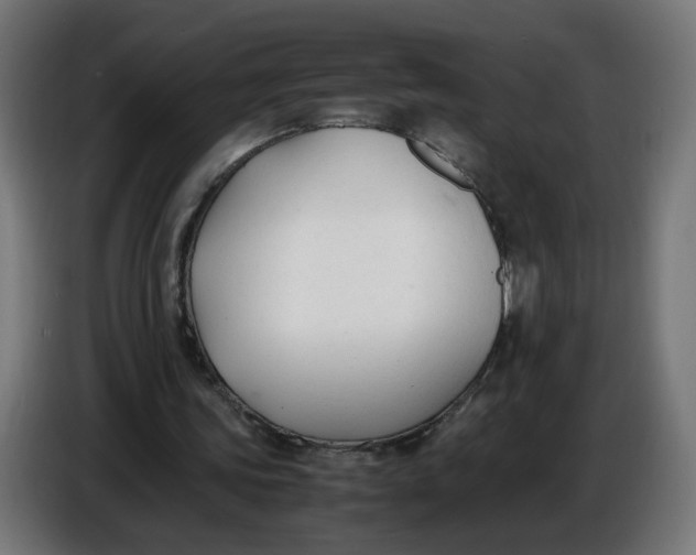 X0000086720339200705041332