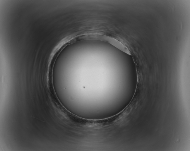 X0000086720340200705041332
