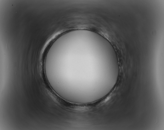 X0000086720342200705041332