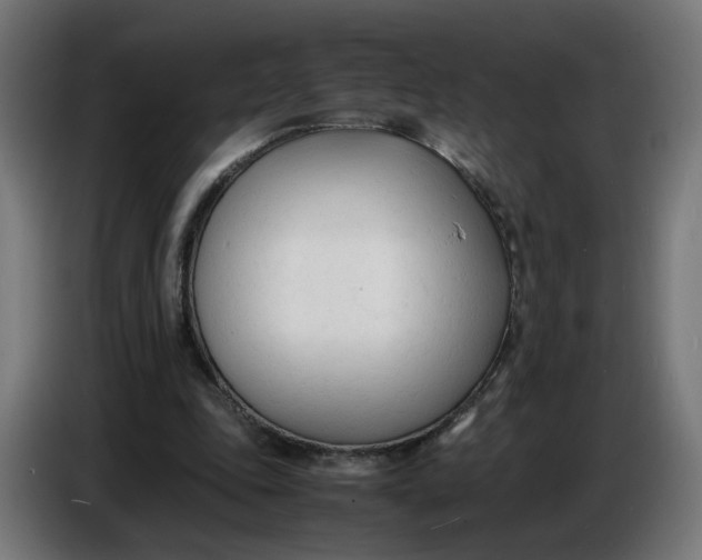 X0000086720343200705041332