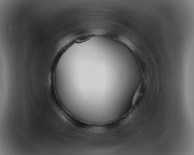 X0000086720350200705041332