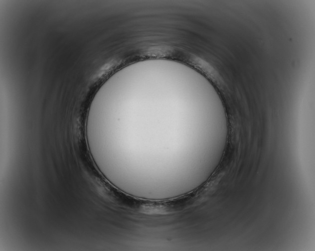 X0000086720354200705041332