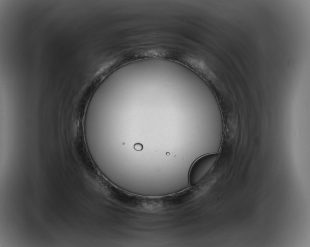 X0000086720355200705041332