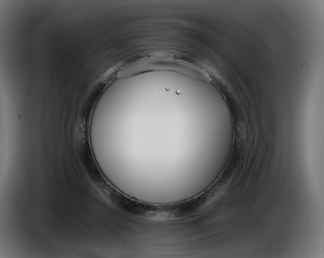 X0000086720356200705041332