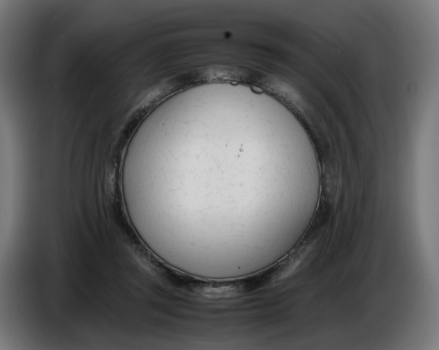 X0000086720357200705041332