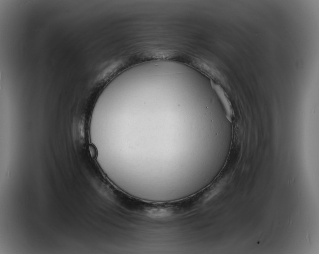 X0000086720358200705041332