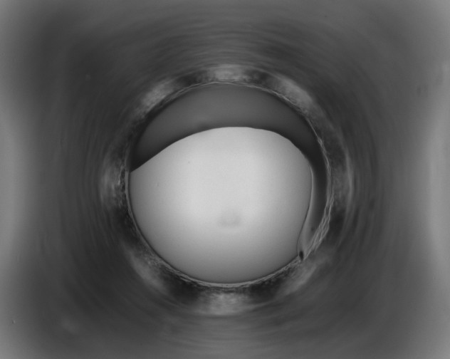 X0000086720360200705041332