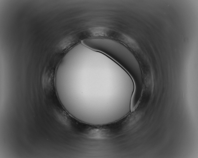 X0000086720364200705041332