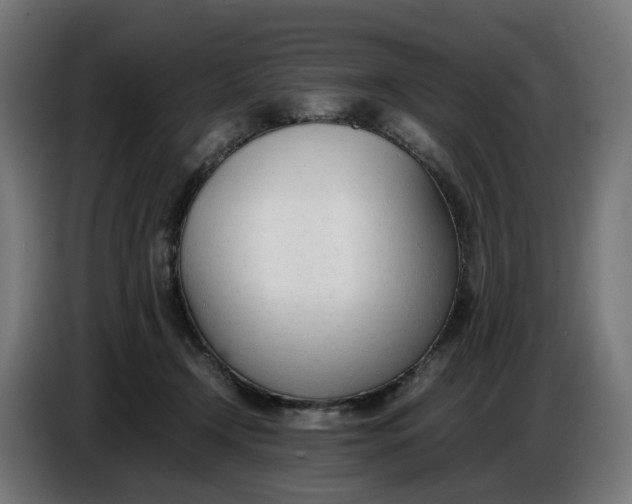 X0000086720366200705041332