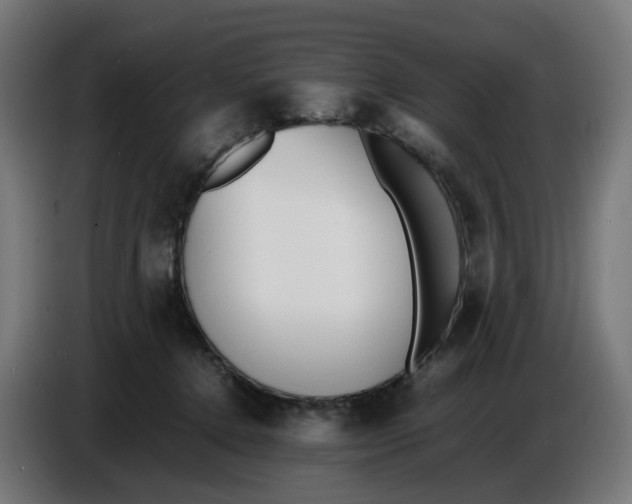 X0000086720368200705041332