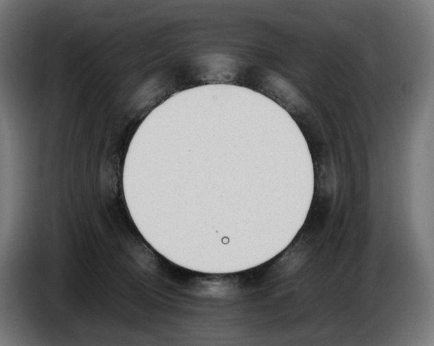 X0000086720370200705041332