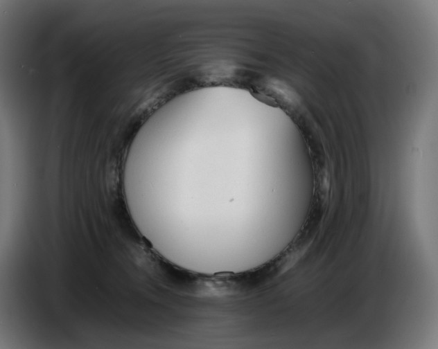 X0000086720372200705041332