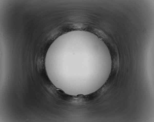 X0000086720376200705041332