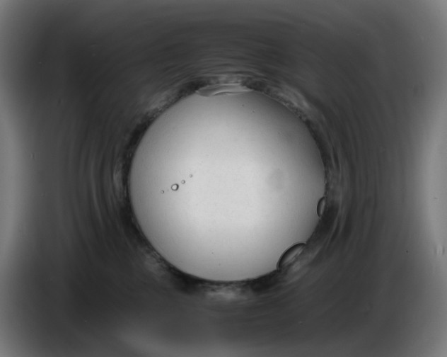 X0000086720377200705041332
