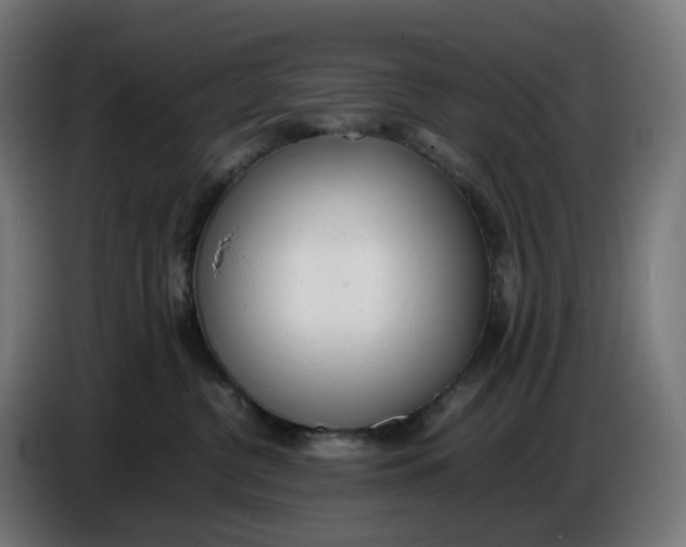 X0000086720380200705041332