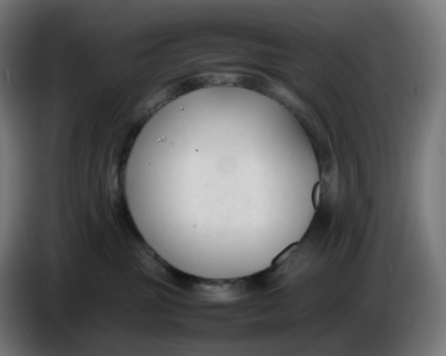 X0000086720381200705041332