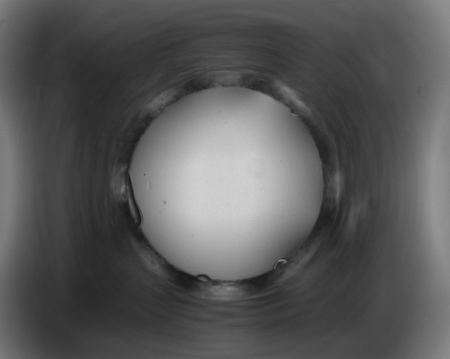 X0000086720383200705041332