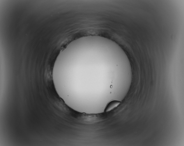 X0000086720384200705041332