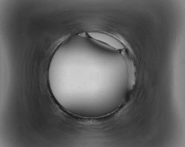 X0000086720385200705041332