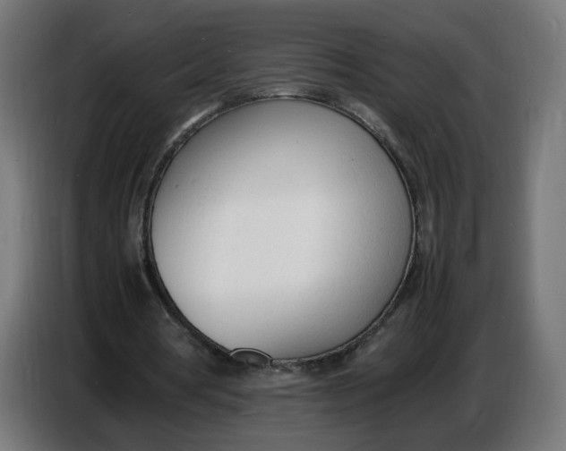 X0000086720386200705041332