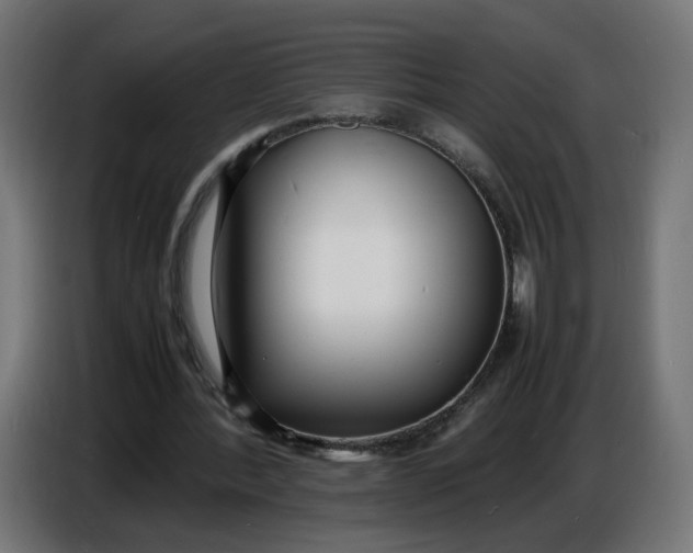 X0000086720388200705041332