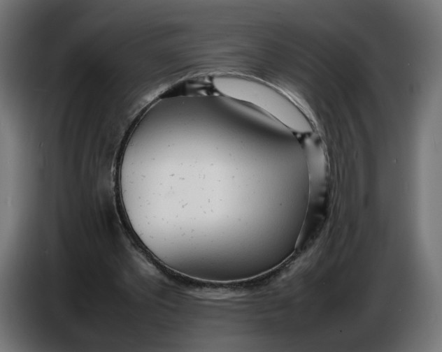 X0000086720389200705041332