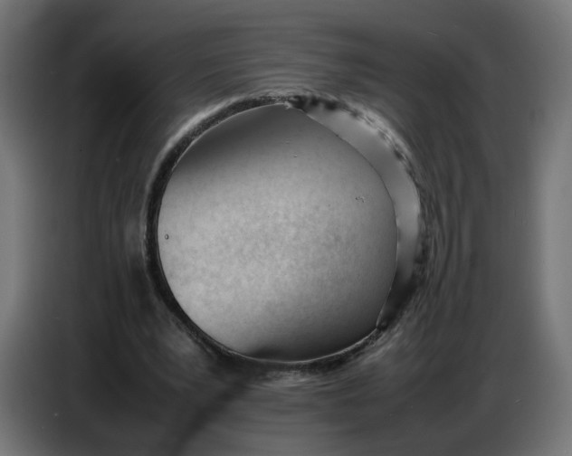X0000086720391200705041332