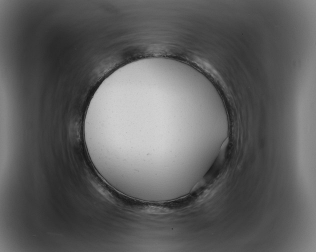 X0000086720393200705041332