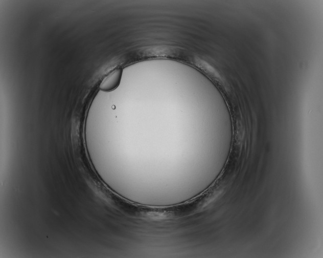 X0000086720394200705041332